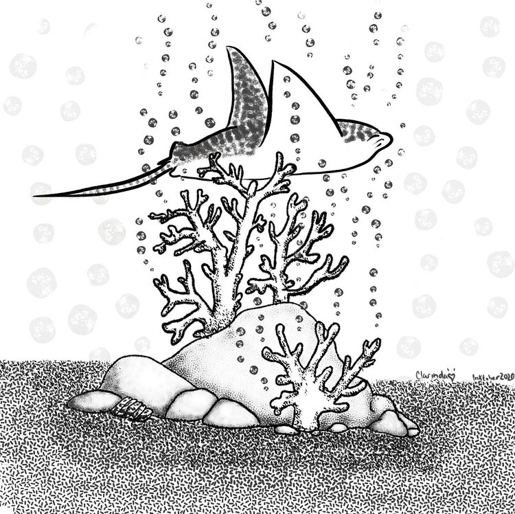Day 20 Coral inktober2020 inktober difitalart