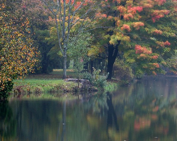 Autumn Reflections