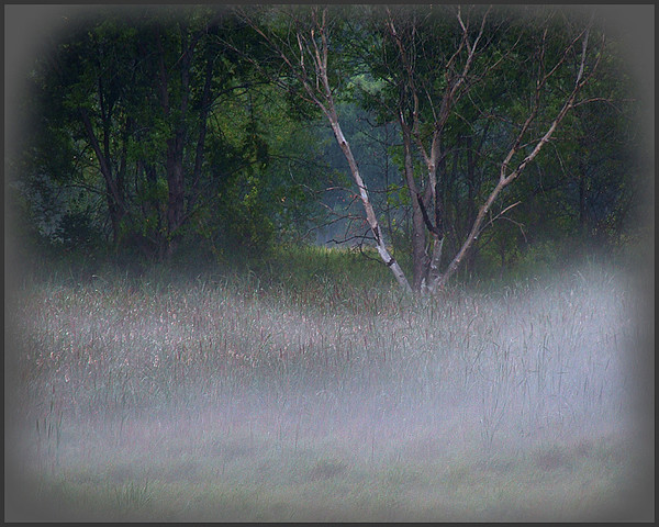 Morning Awakens