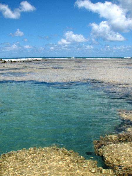 Kahuku Point