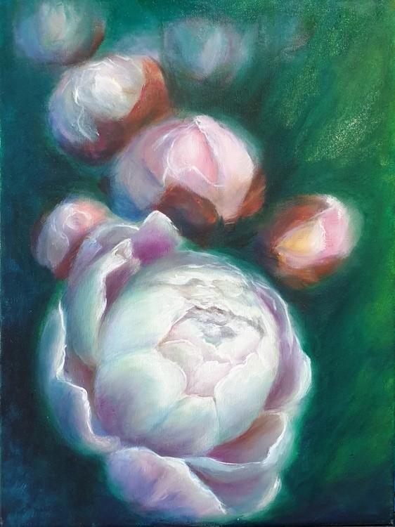 Peony