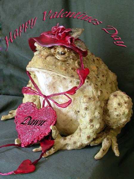 Dawn's Valentine Toad