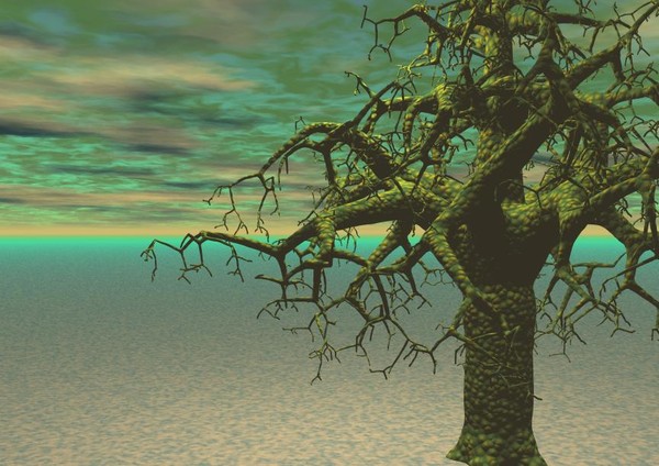 The Tree