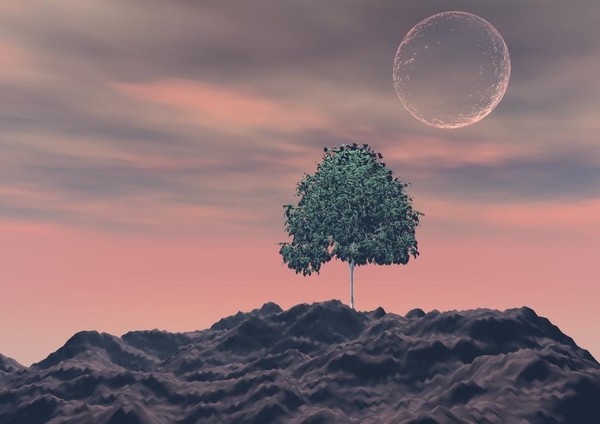 Tree x
