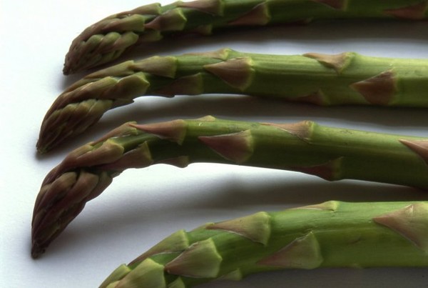 Asparagus