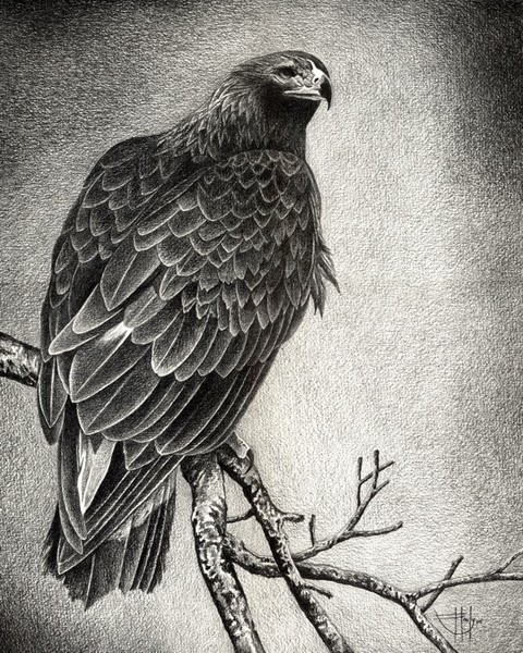 The Sentinel