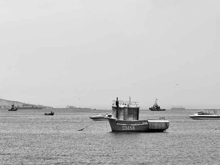Boat on the Paracas Coast