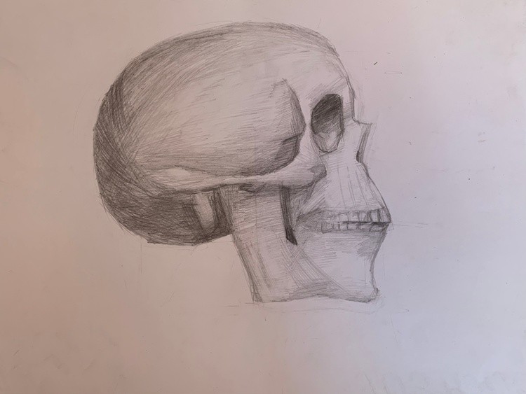 scull