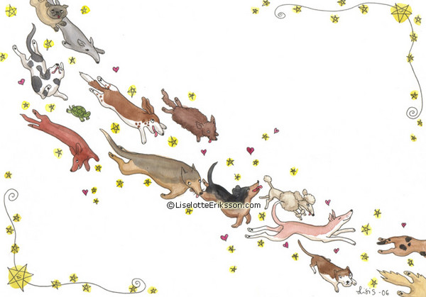Stardogs.