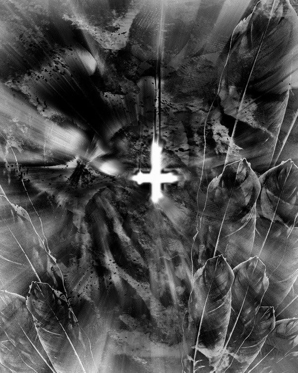 FALL FROM GRACE