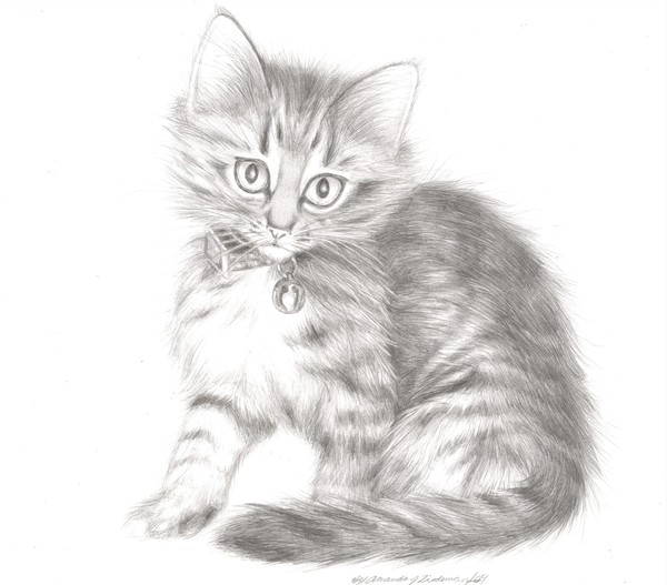 Original: Skittles (my kitty!)