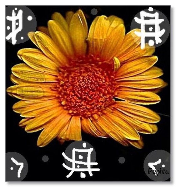 JAPANESE THEME!!!POPART 2