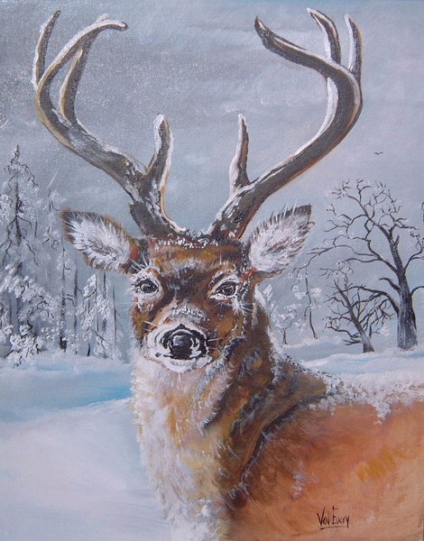 buck