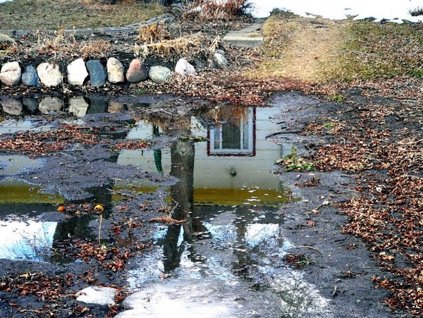 Reflections