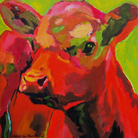 D212 calf 3