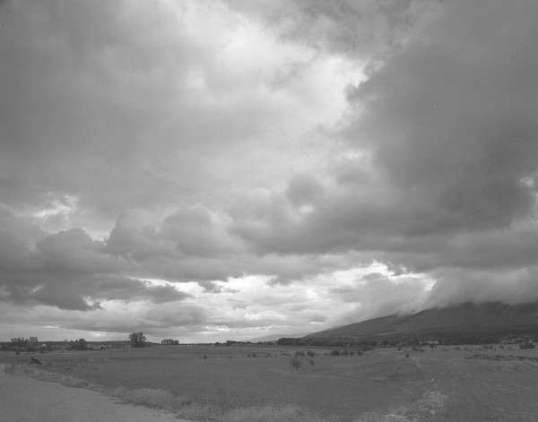 landscape1