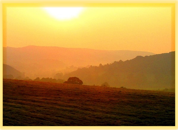 Misty Sunset