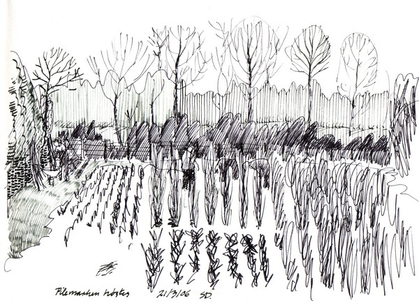 Harvesting the willows