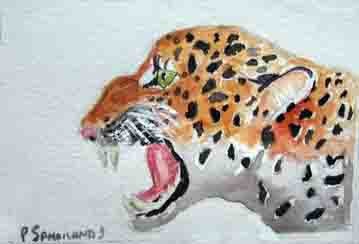 leopard