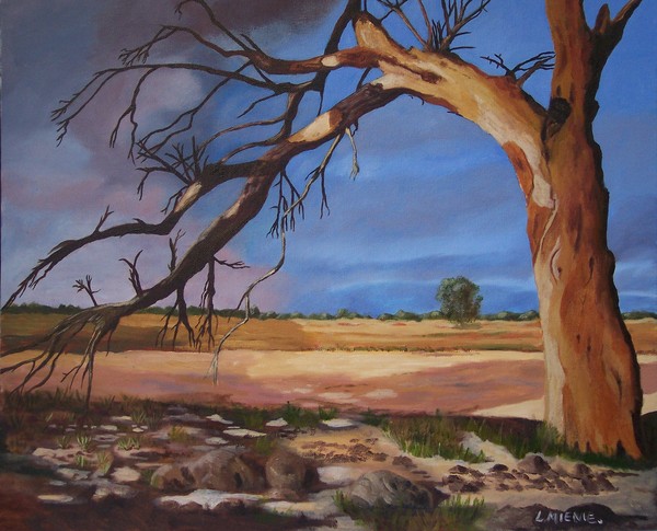 The Camelthorn Tree