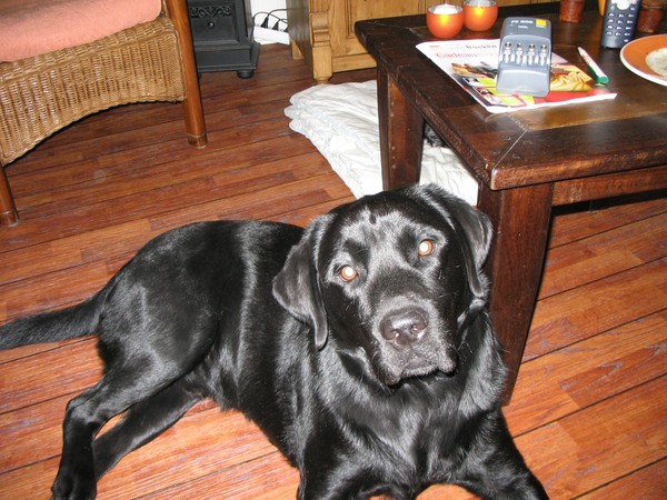 Beau