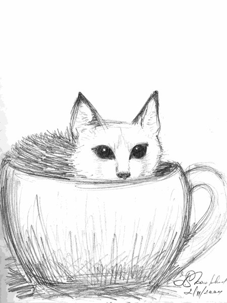 Cup