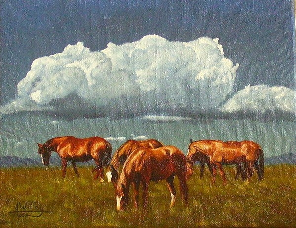 valley pasture