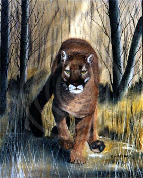 Prowler