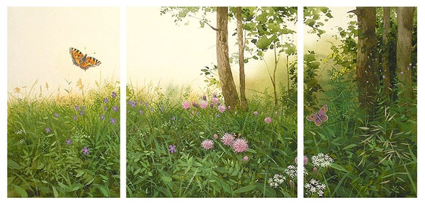 Butterflies' field