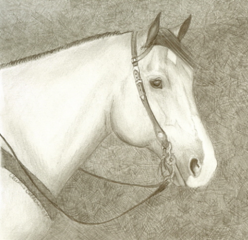 The Western