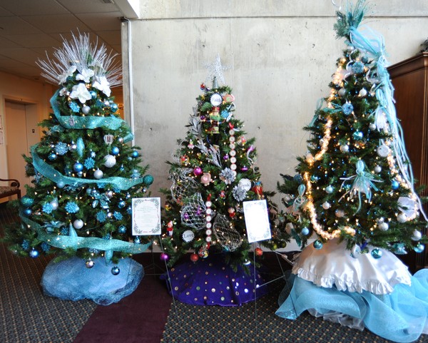Christmas Trees at Cokebury