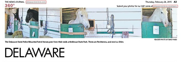220th News Journal Panorama-State Police Horses