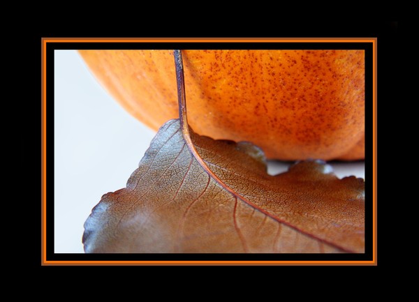 Fall