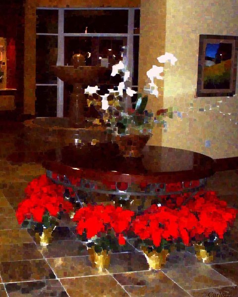 Poinsettia Entrance