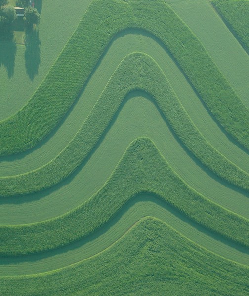 arial  summer corn fields