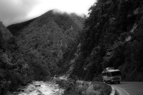 Road in the Amazon's Jungle, Peru.