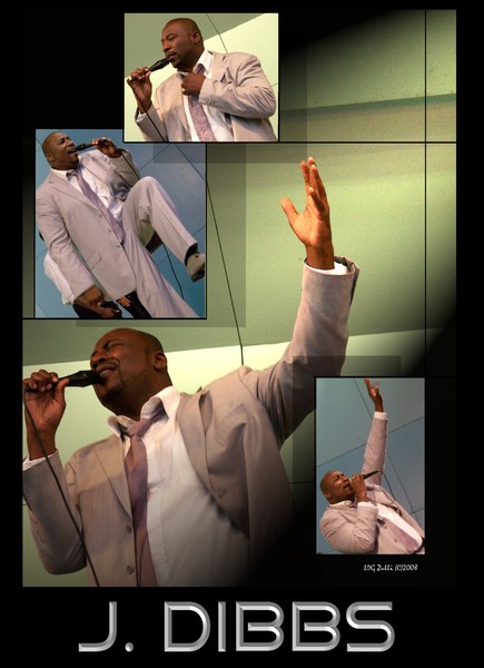 Recording Artist J. Dibbs Compilation