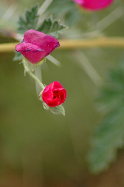 For a Sweetheart