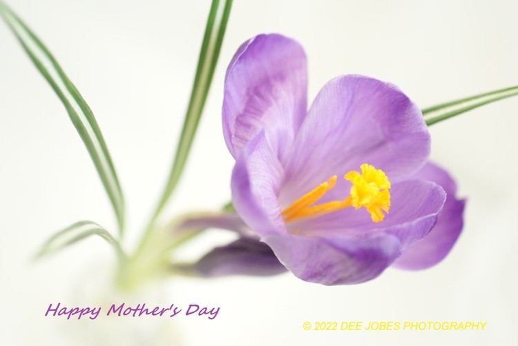 Happy Mother's Day!