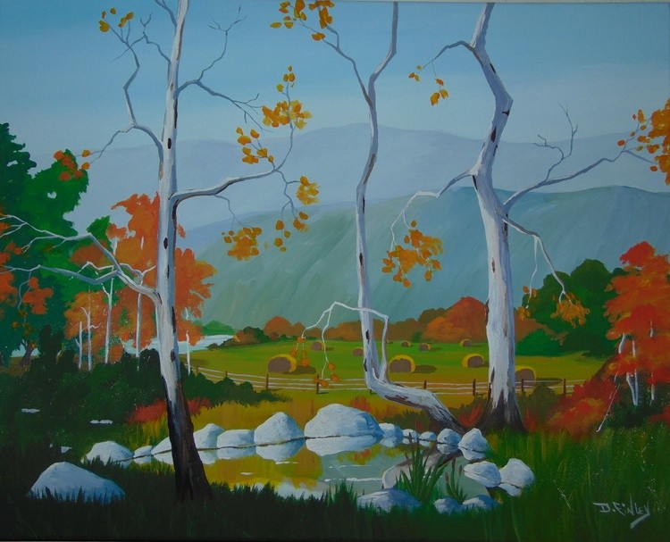 field at the edge of the woods