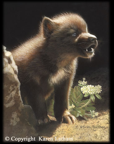 Little Howler - Wolf Pup