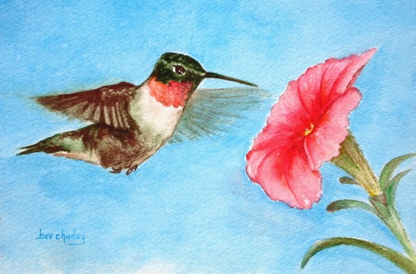 Ruby Throated Hummingbird