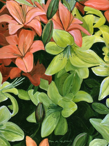 Lilly Arrangement