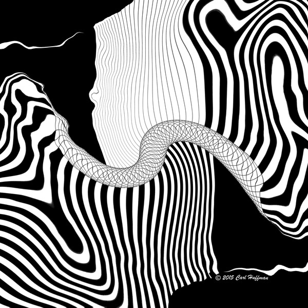 Zebra Twist