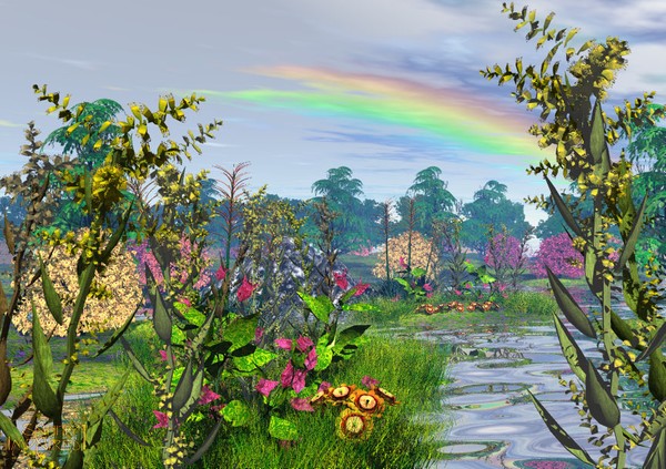 The Meadow
