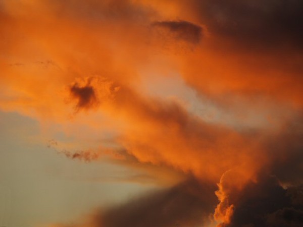 Roars from the Sky