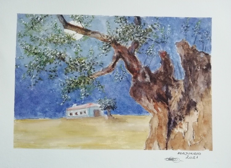 Luar no Alentejo