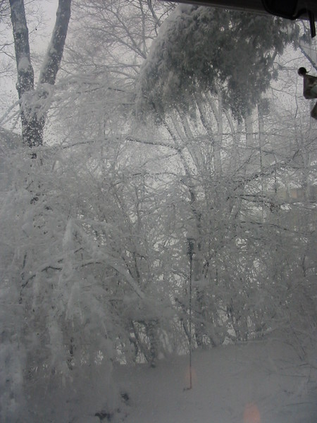 Blizzard: April 4, 2005