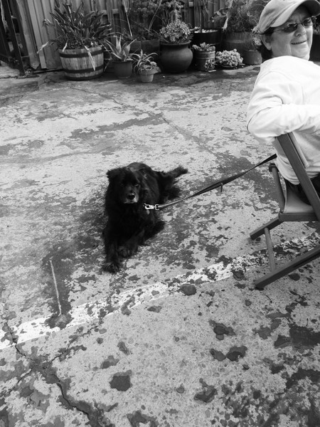 Artist and Dog