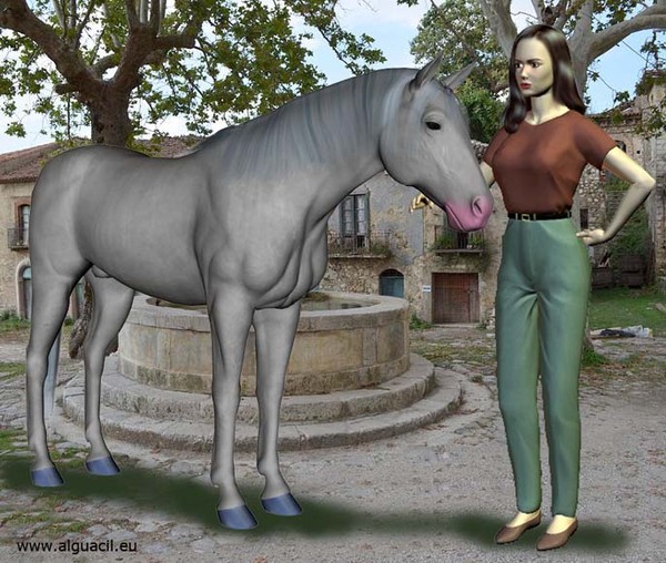 White horse